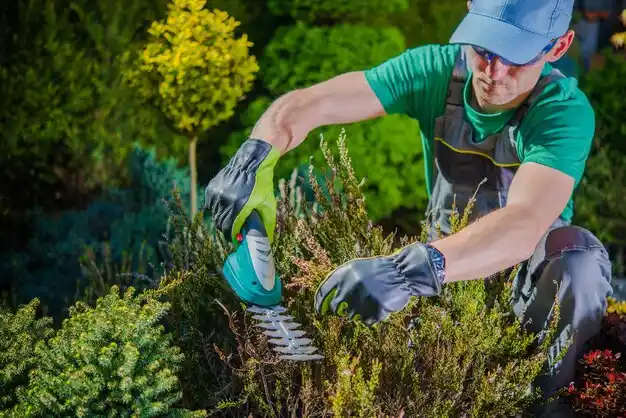 landscaping services Westhampton Beach
